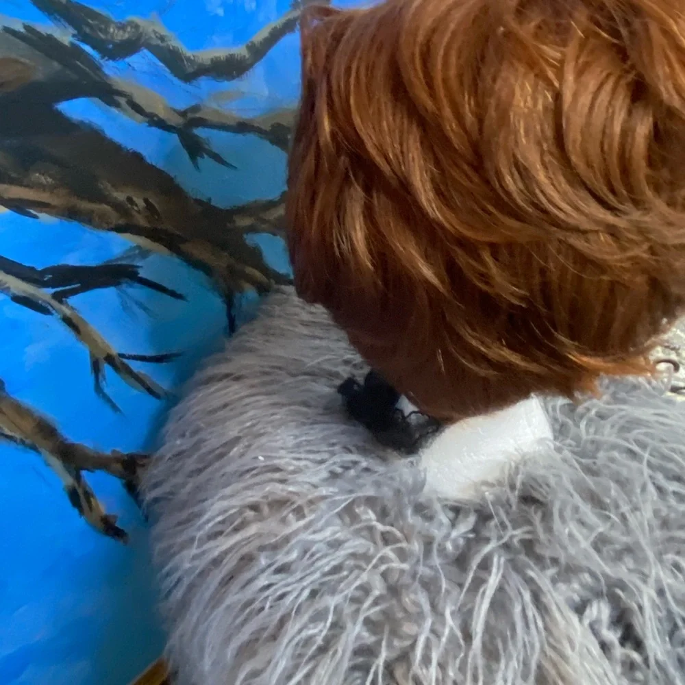 Wig - Picture 7 of 8